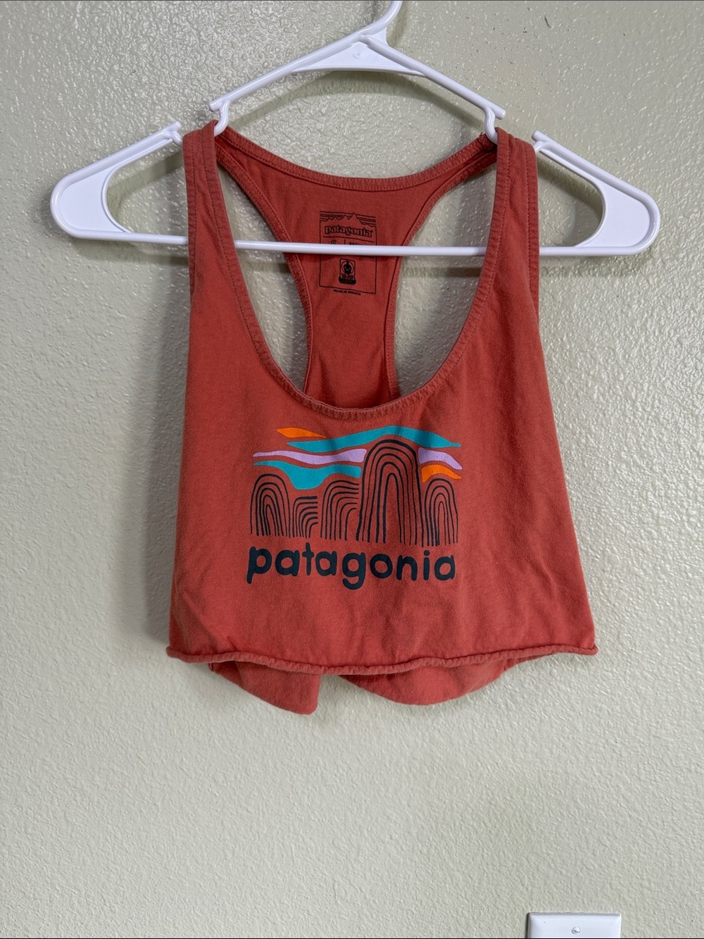 Patagonia Rust-Orange Graphic Crop Tank